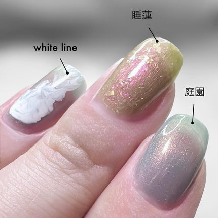 ネイルエス/ nail S(ネイルエス) /マニキュアを使ったクチコミ(1枚目)