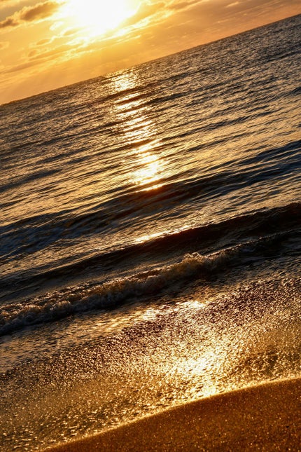 シグニチャー カラー アイズ/SUQQU/アイシャドウパレットを使ったクチコミ(3枚目)