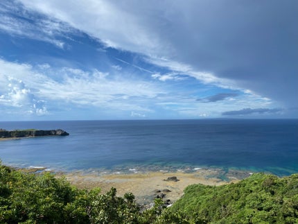 Umamo/Umamo/健康サプリメントを使ったクチコミ(9枚目)