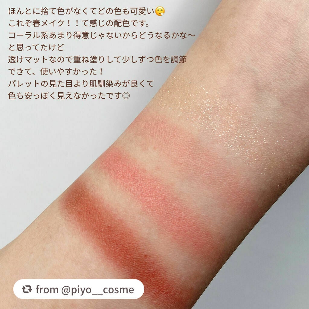 シルキースフレアイズ(マットタイプ)/キャンメイク/アイシャドウパレットを使ったクチコミ(5枚目)