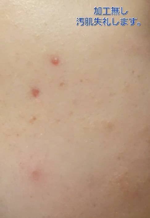 スキンケアパウダー/素肌記念日/プレストパウダーを使ったクチコミ(4枚目)