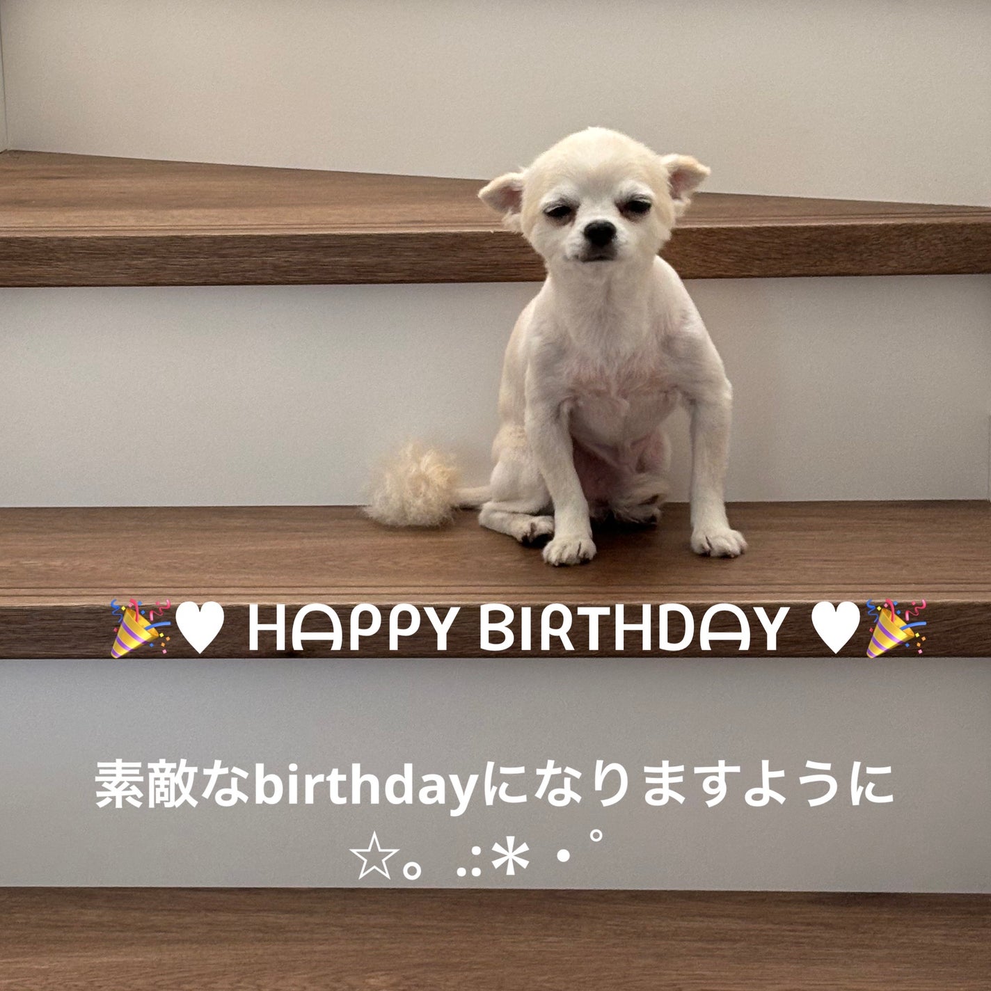 クリスマスコレクション/Ririmew/メイクアップキットを使ったクチコミ(6枚目)