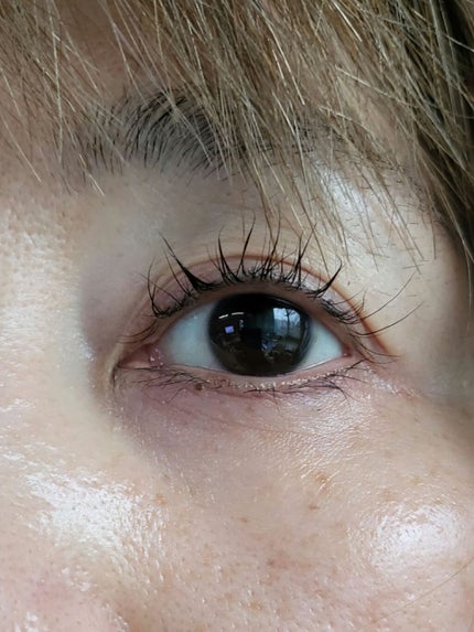 EYE2IN 低刺激 セルフプロ用 まつげパーマ 3種 セット/Qoo10/その他キットセットを使ったクチコミ(1枚目)