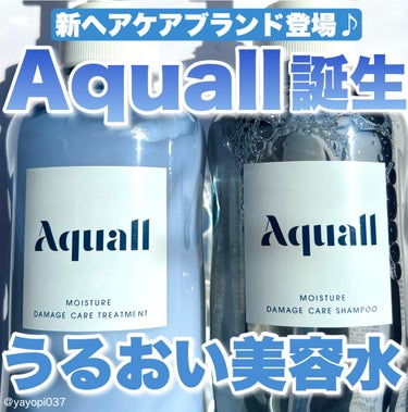 モイスチャーダメージケア シャンプー/トリートメント/Aquall/シャンプー・コンディショナーを使ったクチコミ（1枚目）