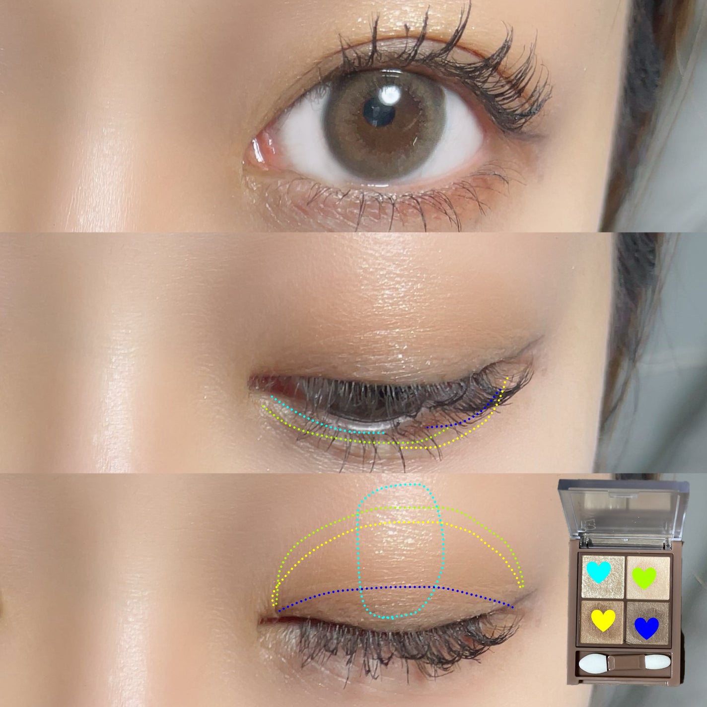 ビタートーンアイシャドウ/CEZANNE/パウダーアイシャドウを使ったクチコミ(4枚目)