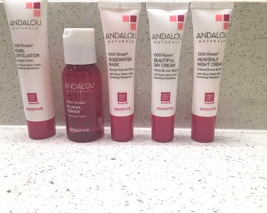 5 skin care essentials Kit/Andalou Naturals/スキンケアキットを使ったクチコミ（1枚目）