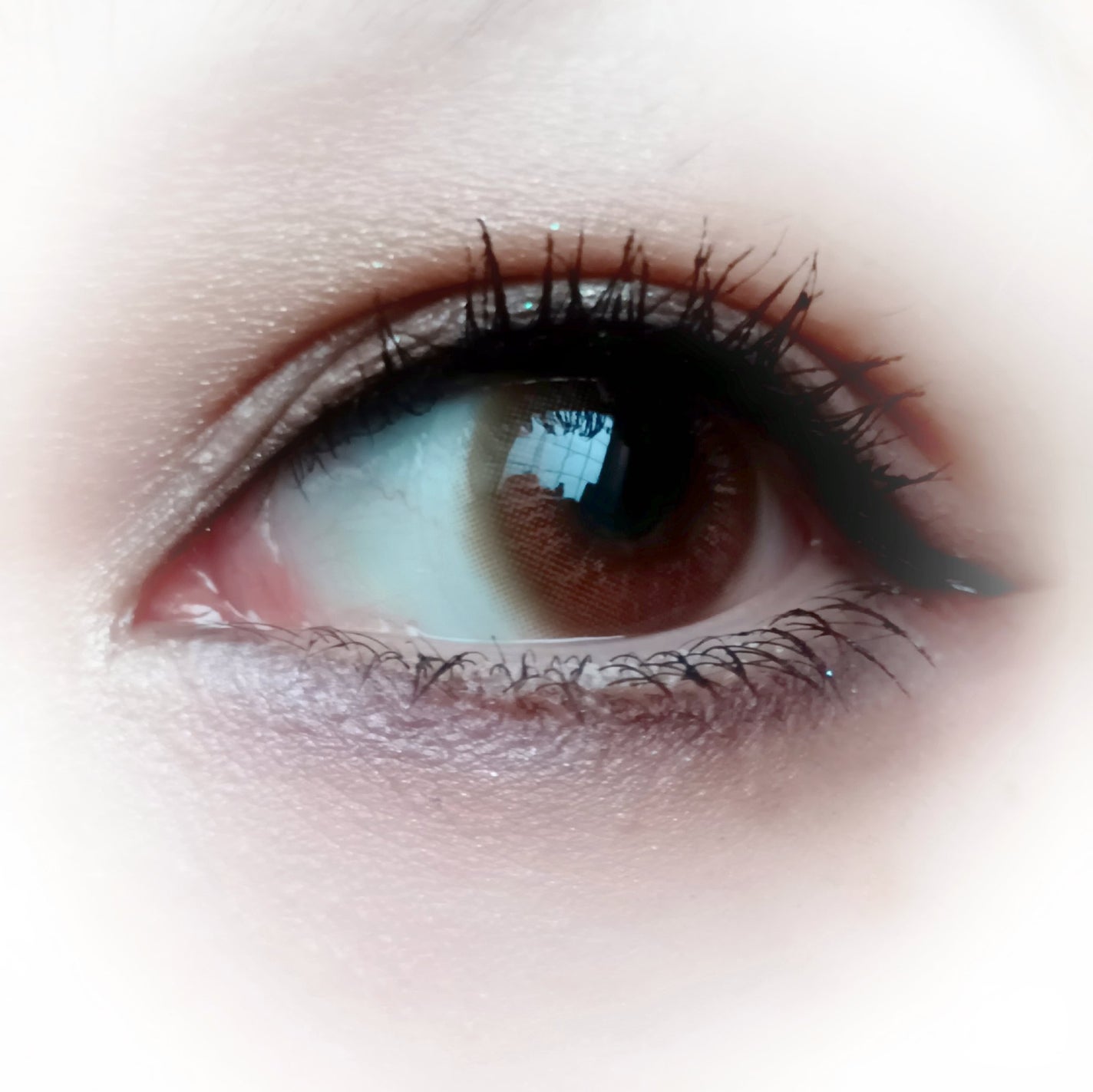 VNTUS 1day/VNTUS/ワンデー(1DAY)カラコンを使ったクチコミ(3枚目)