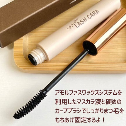 CGパーフェクトラッシュカラ/BLACK ROUGE/マスカラを使ったクチコミ(2枚目)