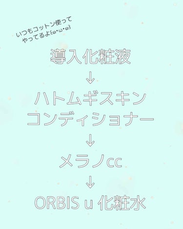 ハトムギ化粧水(ナチュリエ スキンコンディショナー R )/ナチュリエ/化粧水を使ったクチコミ（2枚目）