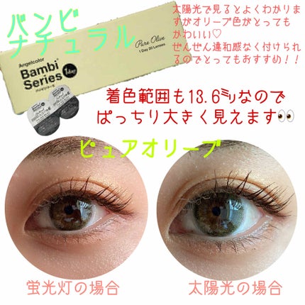 バンビシリーズ ワンデー ナチュラル/AngelColor/ワンデー(1DAY)カラコンを使ったクチコミ(3枚目)