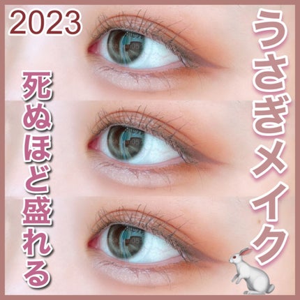 カバーパーフェクション チップコンシーラー/the SAEM/リキッドコンシーラーを使ったクチコミ(1枚目)