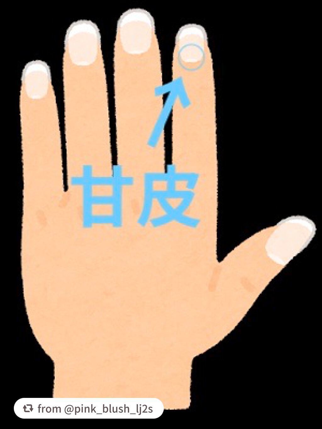 キューティクルお手入れセット/貝印/ネイル用品を使ったクチコミ(3枚目)