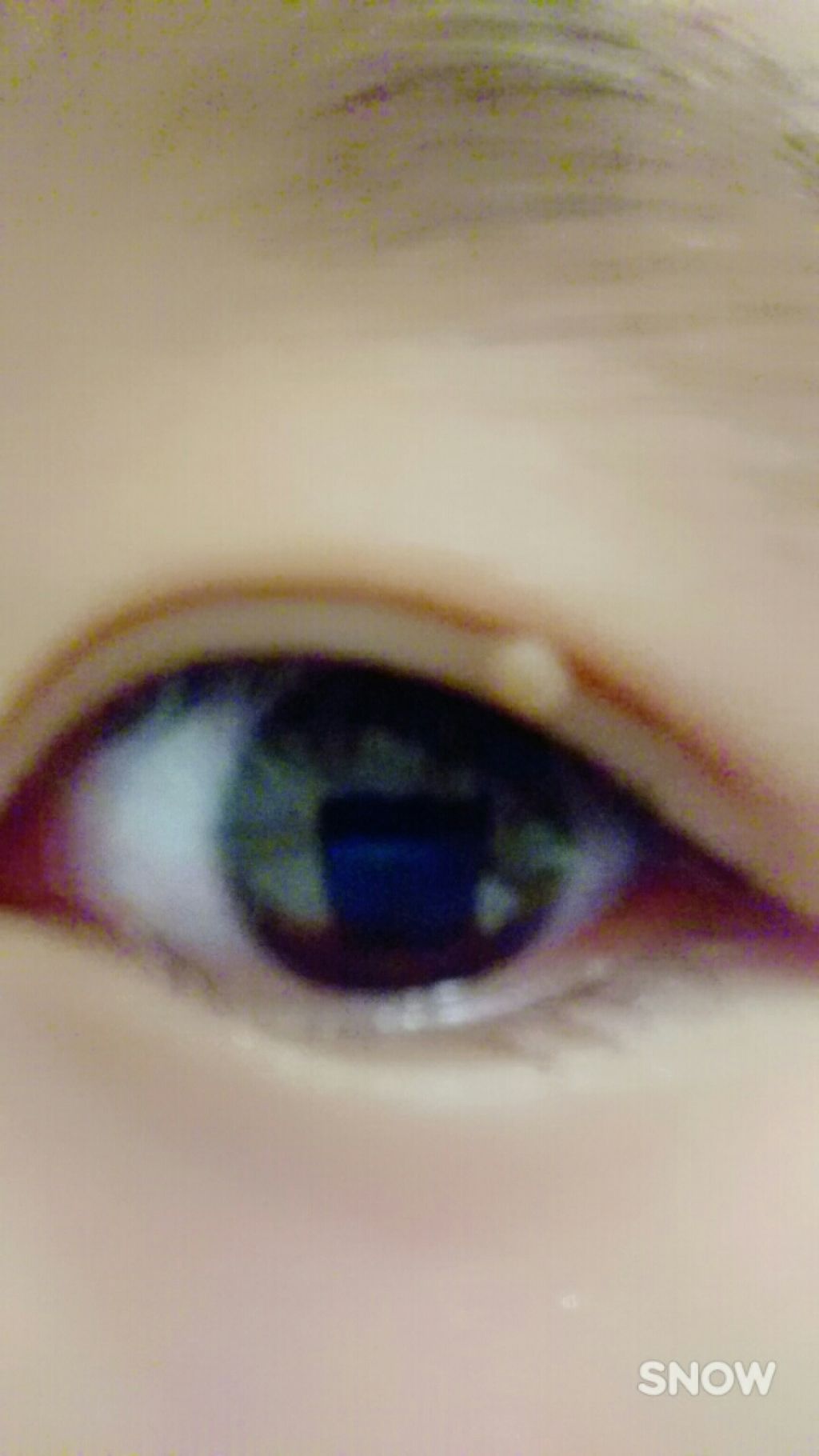 ðððððð on LIPS ããã®ãçžè«ãªãã§ããã©ãããããããç®ã®äžã«ãã€ãããããã§ã..ãïŒ1æç®ïŒ