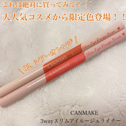 3wayスリムアイルージュライナー/キャンメイク/リキッドアイライナーを使ったクチコミ(1枚目)