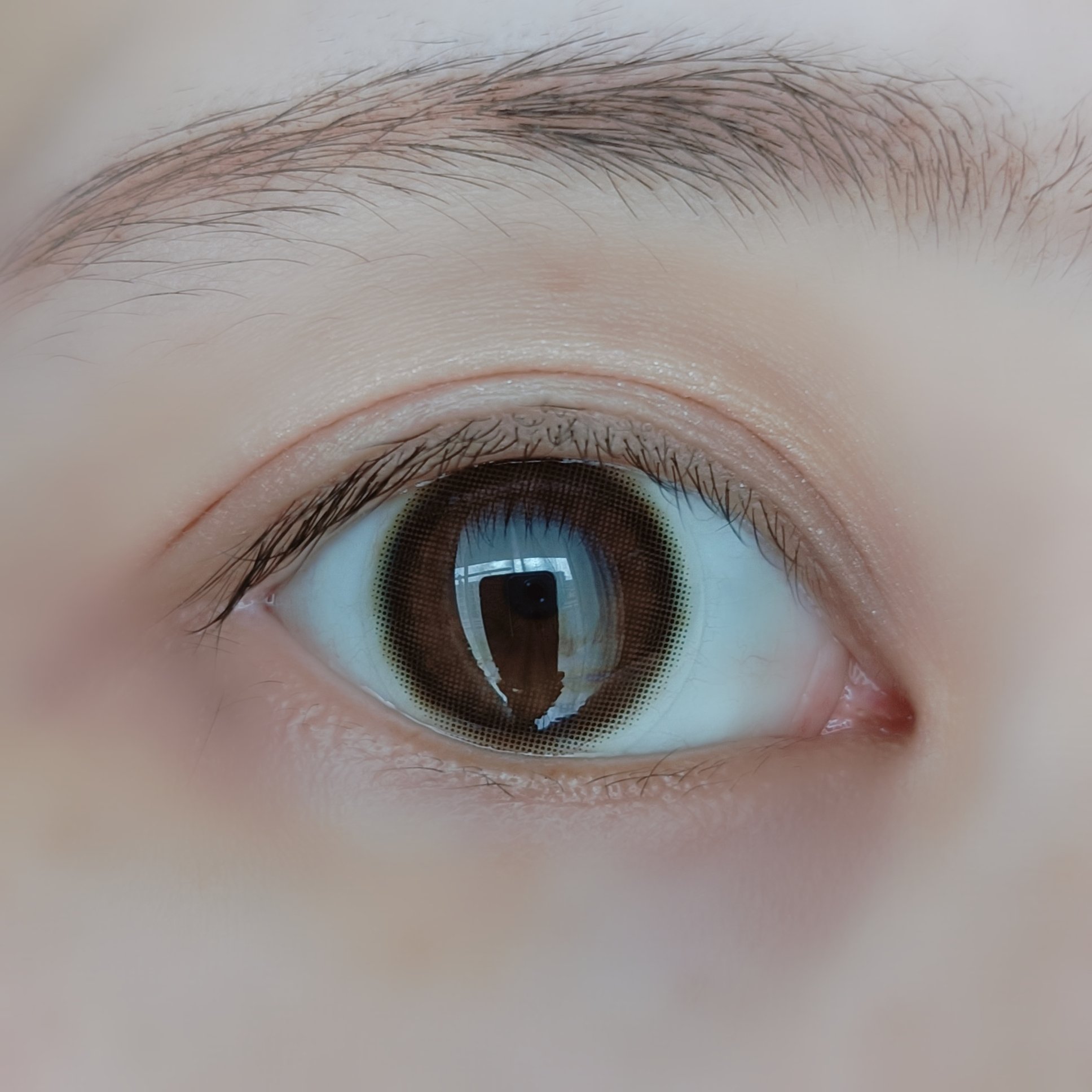 レヴィアブルーライトバリアワンデー ピュアバリア/ReVIA/ワンデー（１DAY）カラコンを使ったクチコミ（3枚目）
