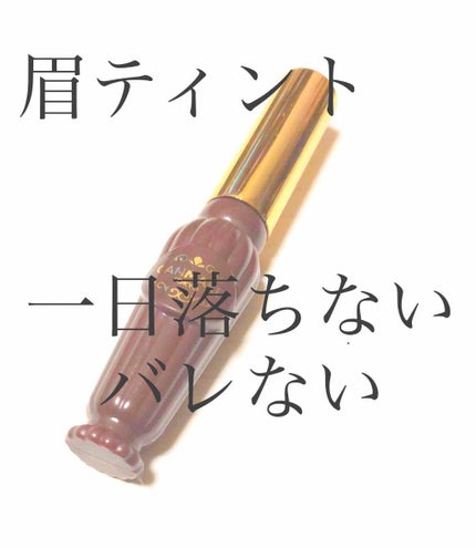 アイブロウティントジェリー/キャンメイク/眉ティントを使ったクチコミ(1枚目)