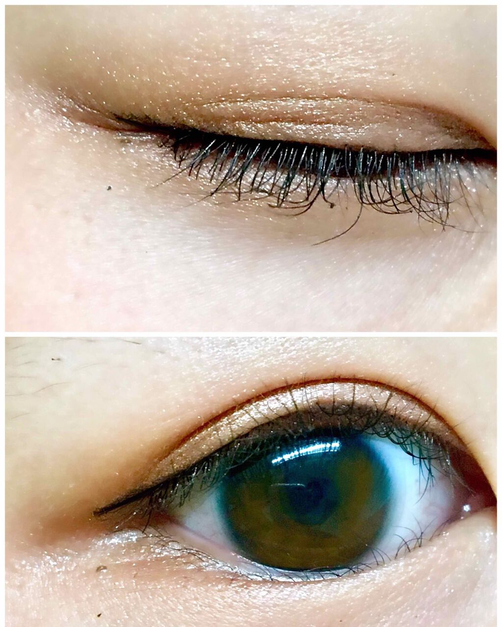 AC6カラーアイパット/キャンドゥ/アイシャドウパレットを使ったクチコミ(1枚目)