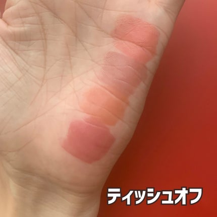 ネンマクフェイク リキッド/Visée/口紅を使ったクチコミ(5枚目)