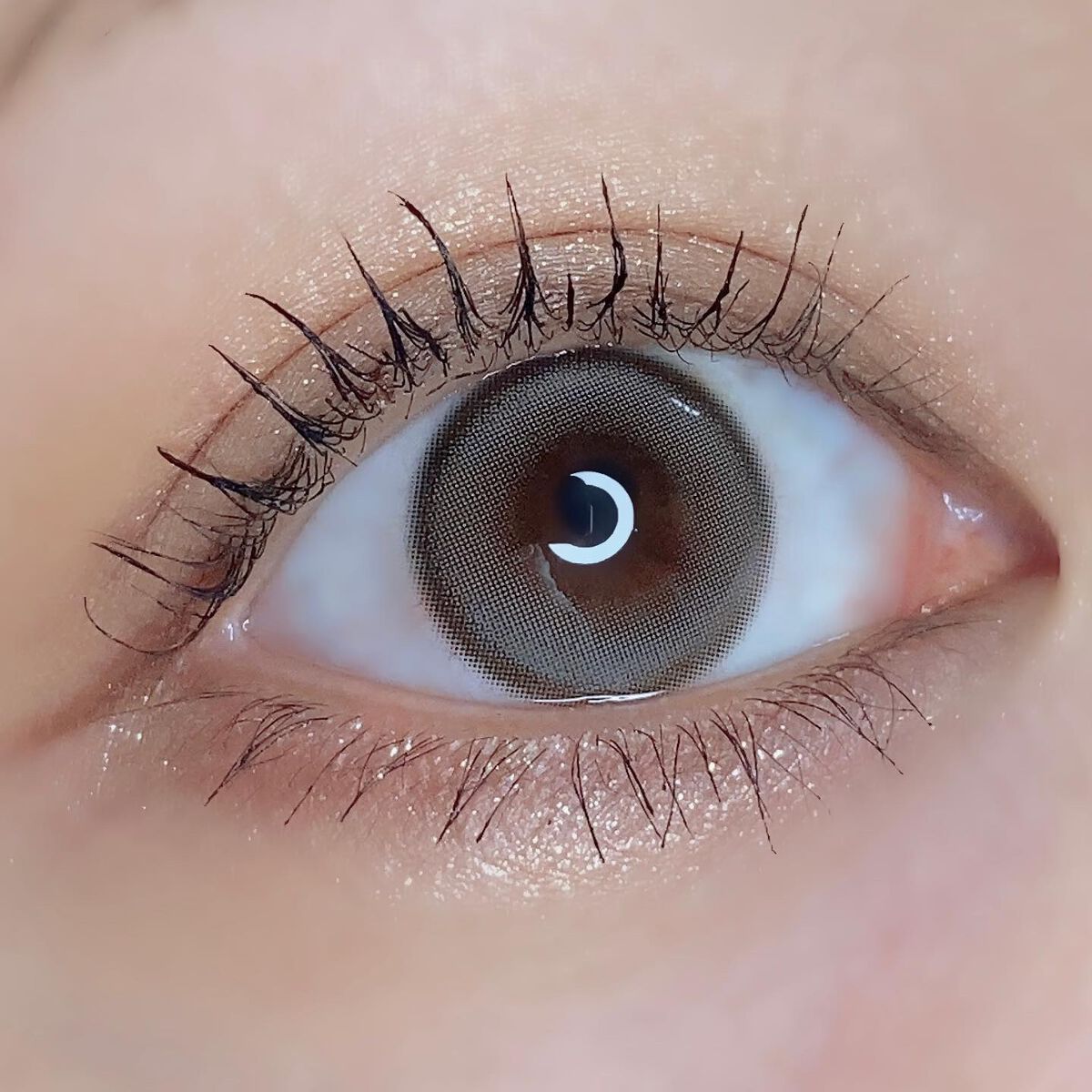 Suger High Kristin/Hapa kristin/カラーコンタクトレンズを使ったクチコミ（3枚目）