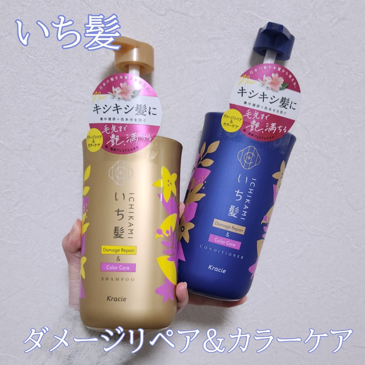 ãã¡ãŒãžãªãã¢ïŒã«ã©ãŒã±ã¢ ã·ã£ã³ããŒ/ã³ã³ãã£ã·ã§ããŒ/ãã¡é«ª/åžè²©ã·ã£ã³ããŒã䜿ã£ãã¯ãã³ãïŒ1æç®ïŒ