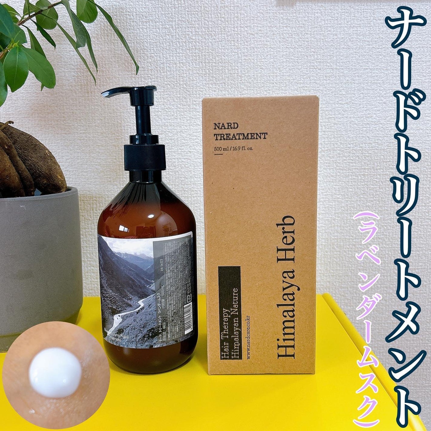 NARD シャンプー/NARD/市販シャンプーを使ったクチコミ(5枚目)