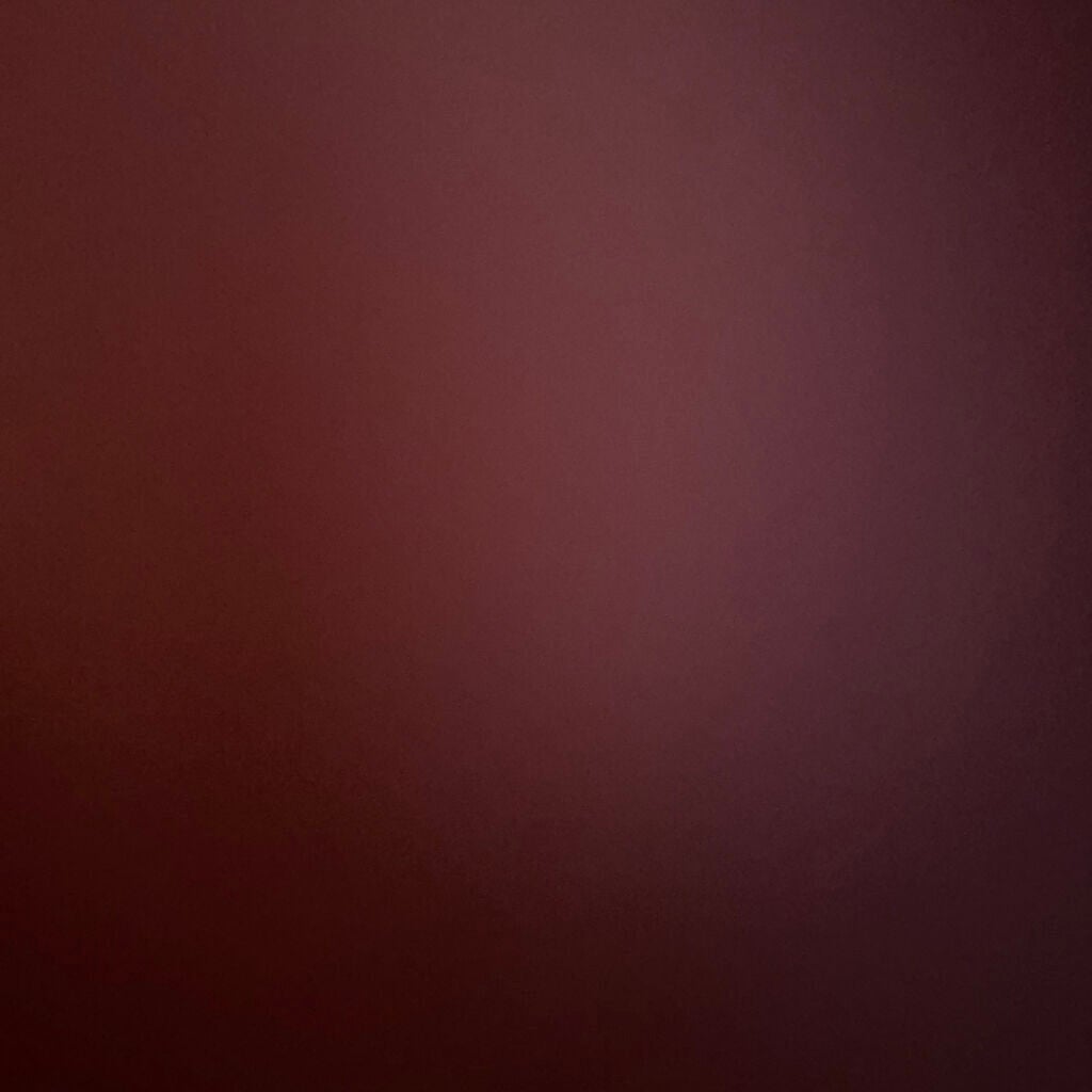 オペラ リップティント N/OPERA/リップティントを使ったクチコミ(5枚目)