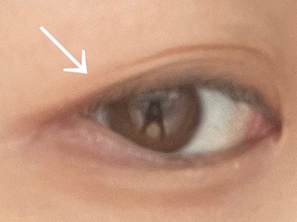 ãããªãŒ/ã«ãã¥ãŒãã«/äºéãŸã¶ãçšã¢ã€ãã ã䜿ã£ãã¯ãã³ãïŒ2æç®ïŒ