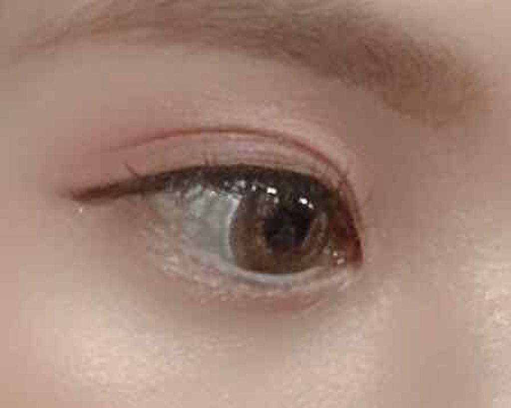 リアルクローズシャドウ/excel/アイシャドウパレットを使ったクチコミ(2枚目)