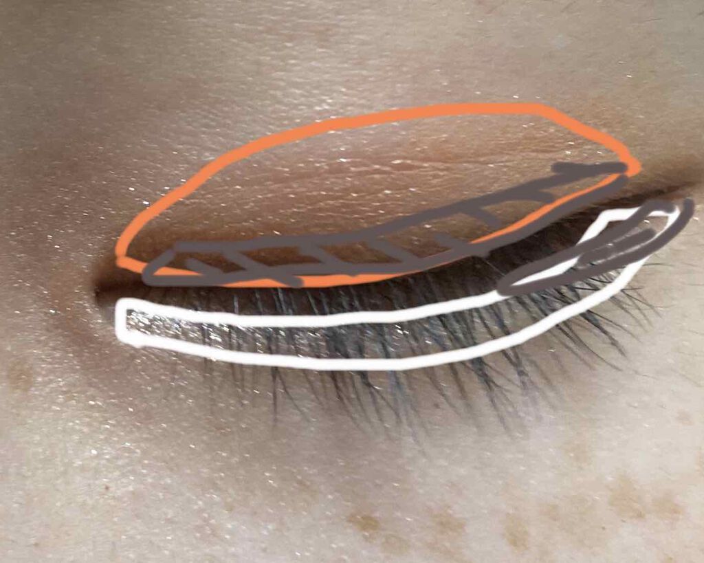 トーンアップアイシャドウ/CEZANNE/アイシャドウパレットを使ったクチコミ(2枚目)