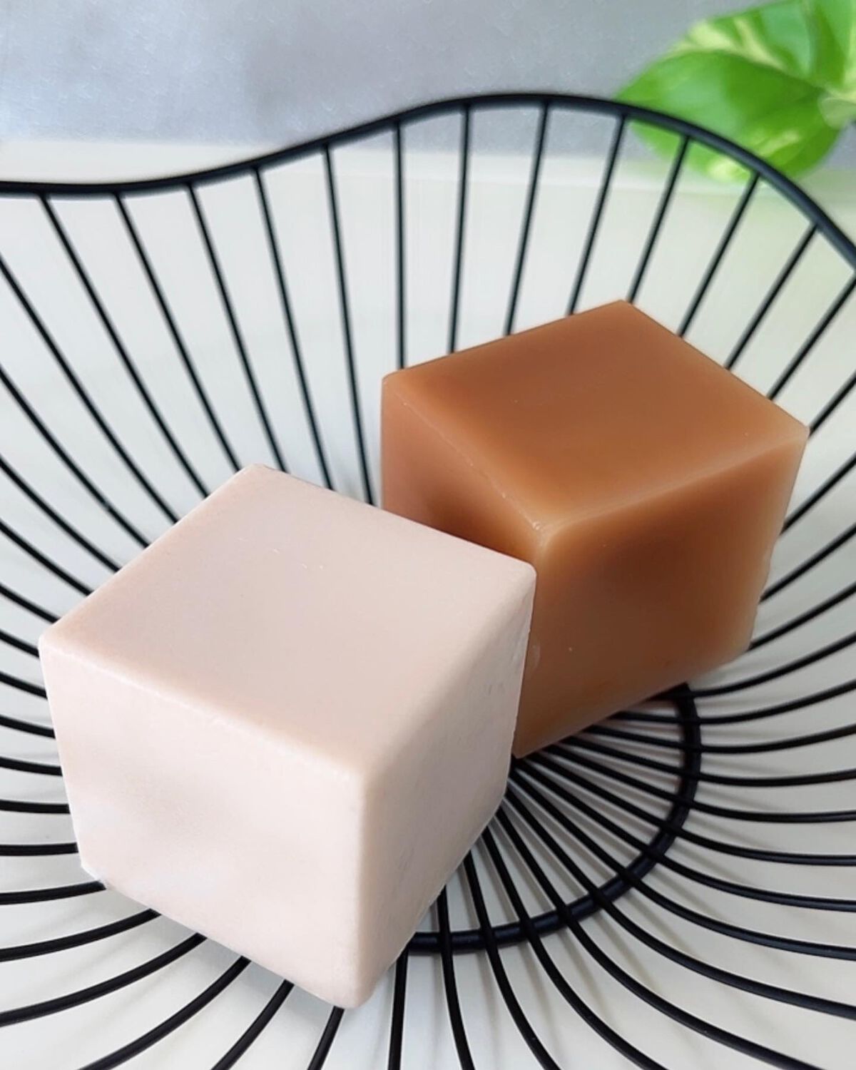 ✽ 佳 ✽スキンケア㋔㋟㋗ on LIPS 「キューブシャンプー✼••┈┈┈┈┈┈┈┈┈┈┈┈┈┈┈┈••..」(1枚目)