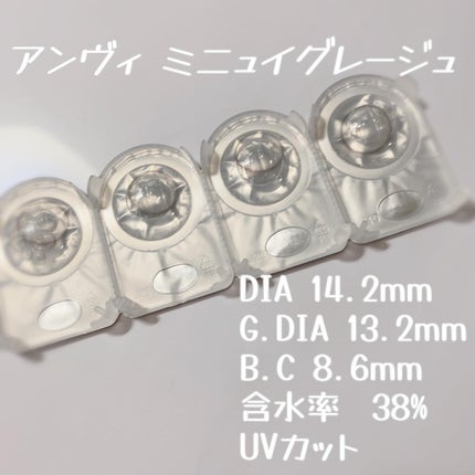 envie 1day ミニュイグレージュ/envie/ワンデー(1DAY)カラコンの画像