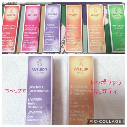 フォレストハーモニー オイルコレクション/WELEDA/スキンケアキットを使ったクチコミ(1枚目)