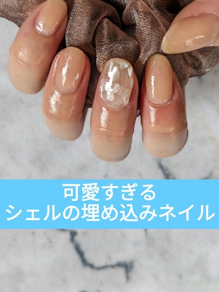 ジェルネイルDA 23 シアーベージュ/IDATE/ジェルネイルの画像