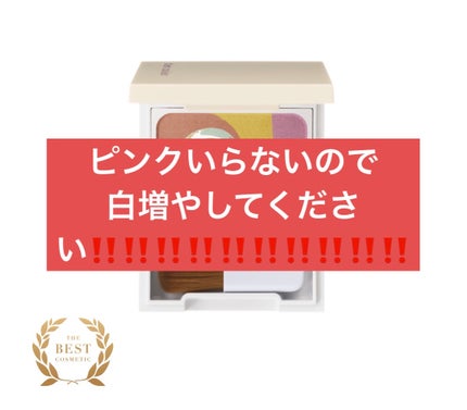 カラーブレンドパウダーコンシーラー/ディエム クルール/パウダーコンシーラーを使ったクチコミ(1枚目)