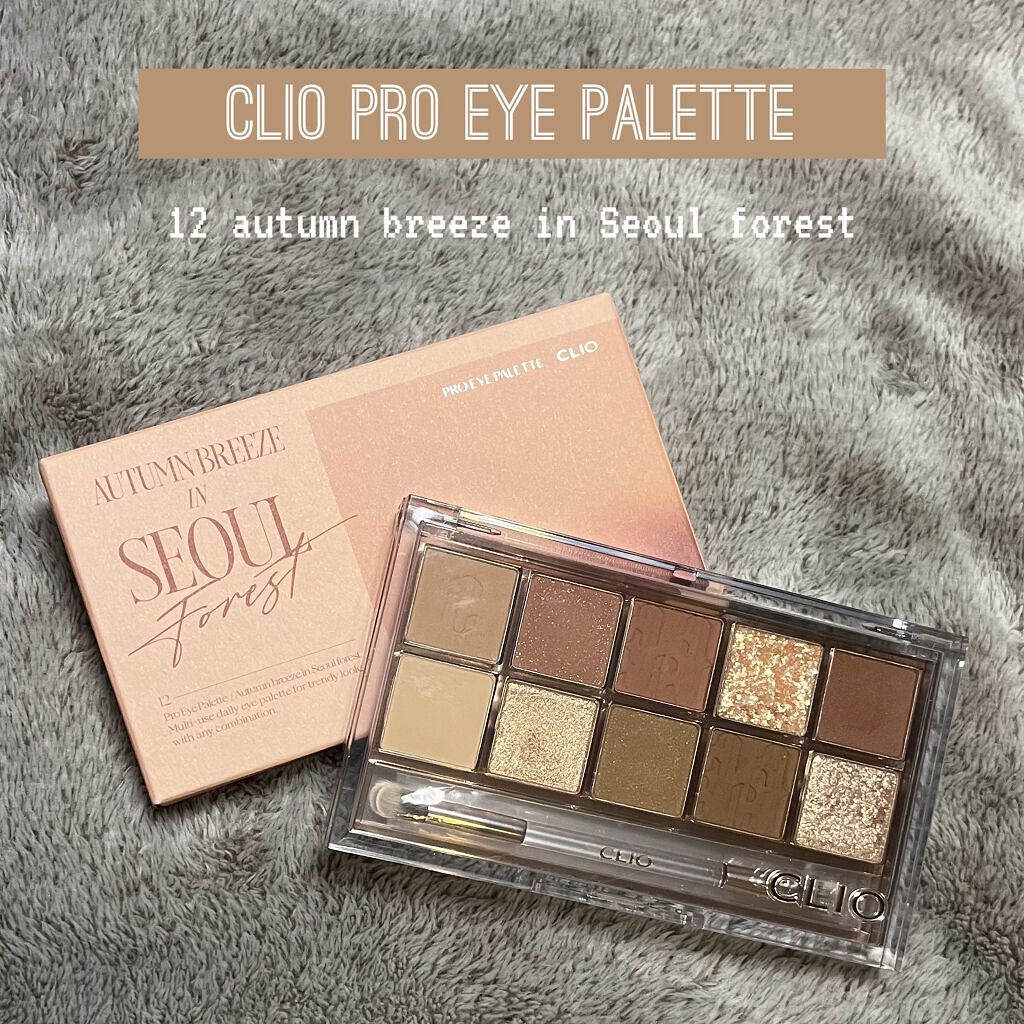 プロ アイ パレット/CLIO/アイシャドウパレットを使ったクチコミ（1枚目）