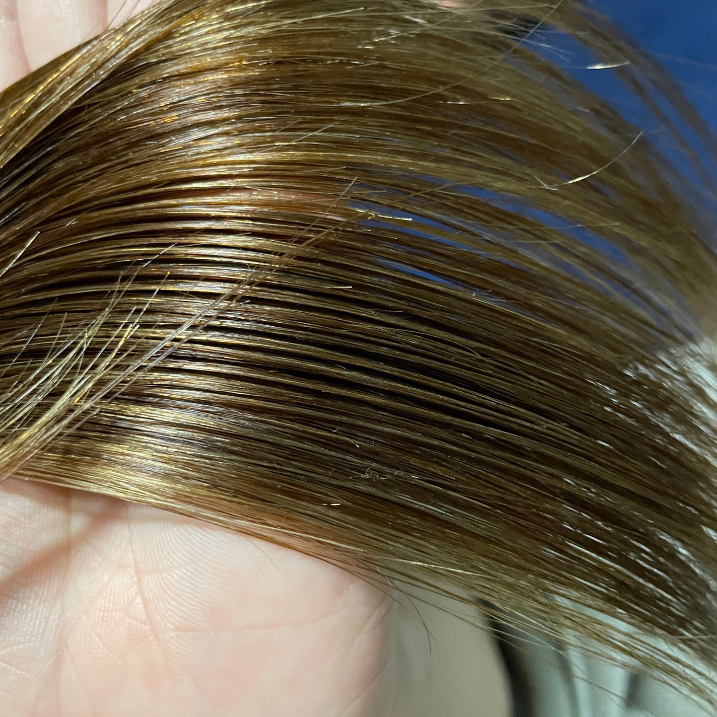 アハロハニー ハイドロ&リペア ジェントル ヘアオイル/AHALO HONEY/ヘアオイルを使ったクチコミ(3枚目)