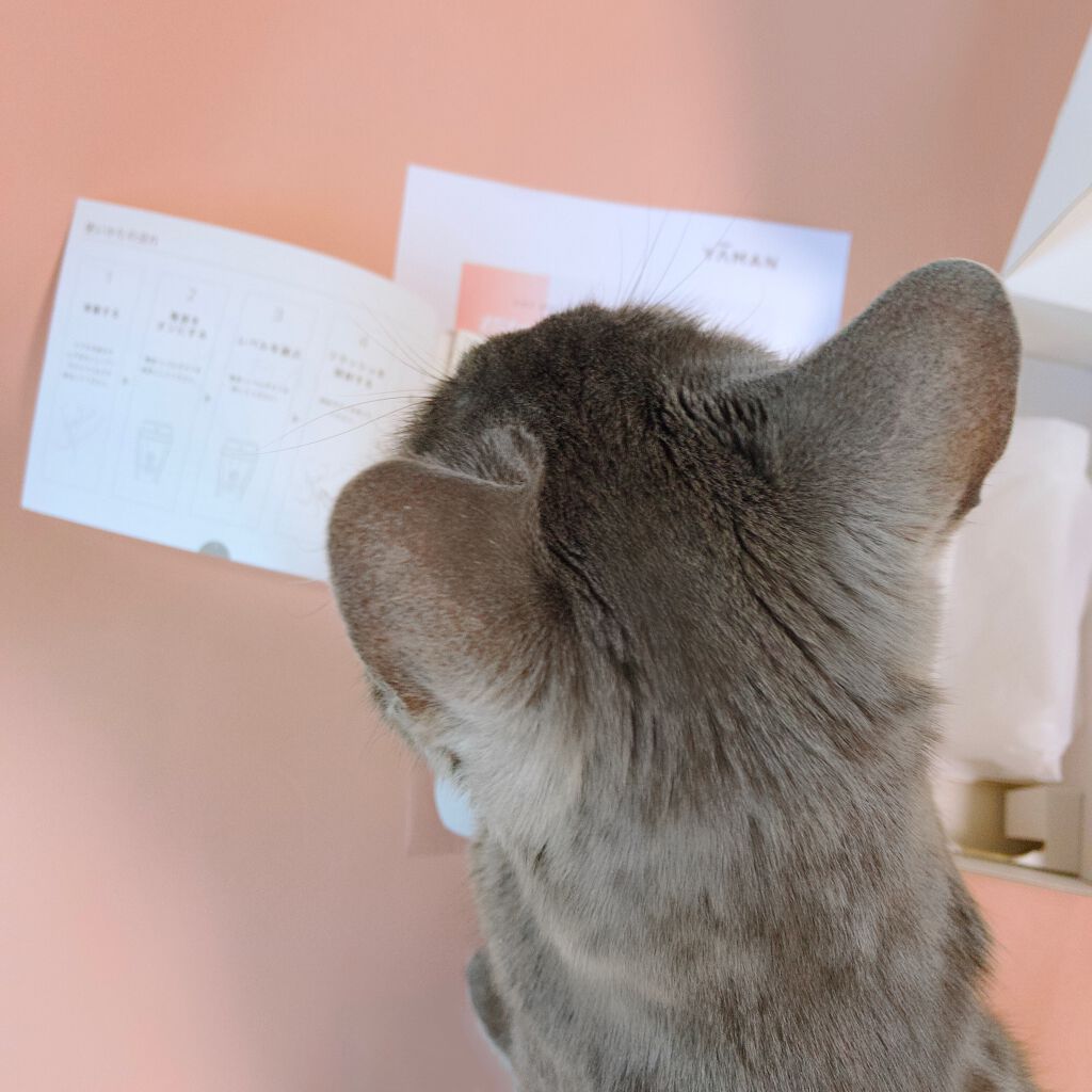 レイボーテ ヴィーナス/YA-MAN TOKYO JAPAN/家庭用脱毛器を使ったクチコミ（2枚目）