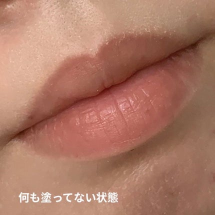 リッププランパー ピンクリッチ/Borica/リップグロスを使ったクチコミ(5枚目)