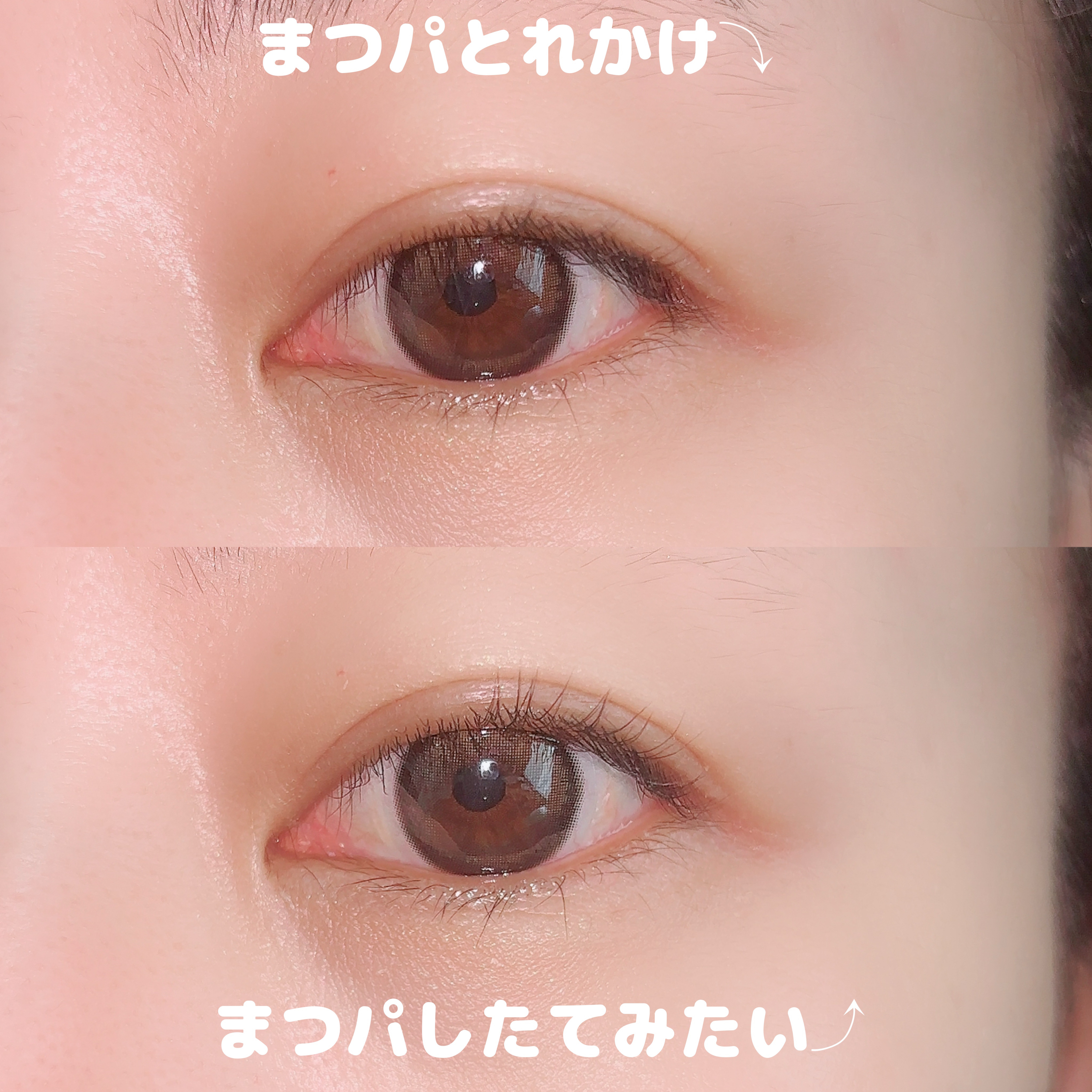 はさんであがるヒートカーラー/SHOBIDO/ホットビューラーを使ったクチコミ（3枚目）