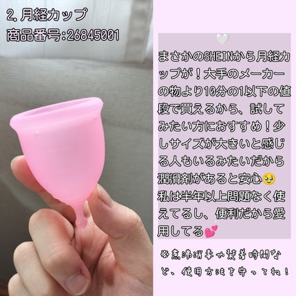 テイク ア ヒント リップティント/SHEGLAM/リップティントを使ったクチコミ(3枚目)