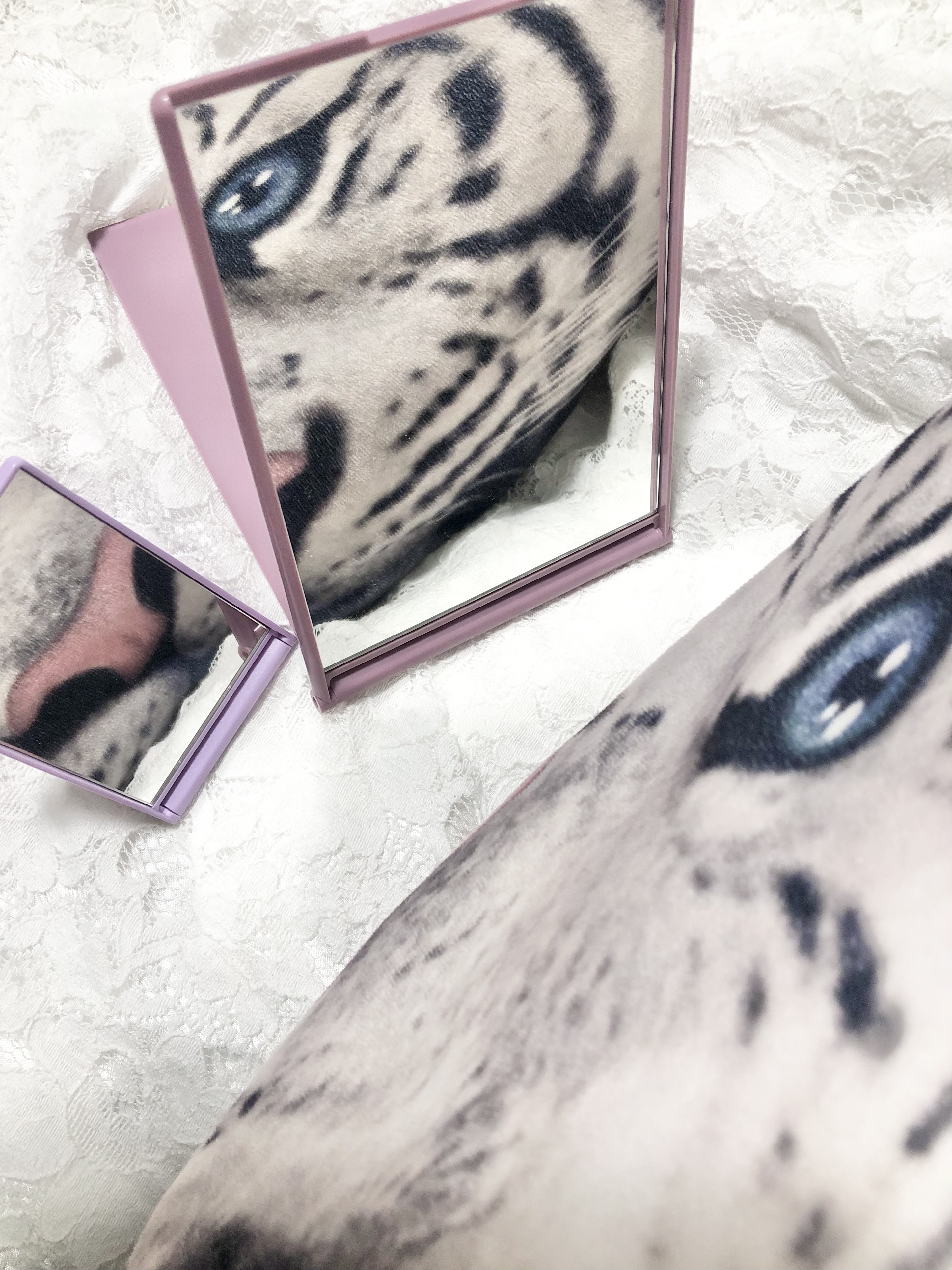 リアルックミラー/ロージーローザ/その他化粧小物を使ったクチコミ（3枚目）