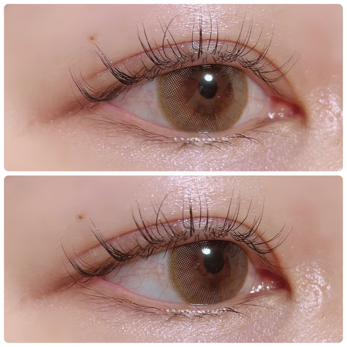 feliamo 1day エアリーベージュ/feliamo/ワンデー（１DAY）カラコンを使ったクチコミ（3枚目）