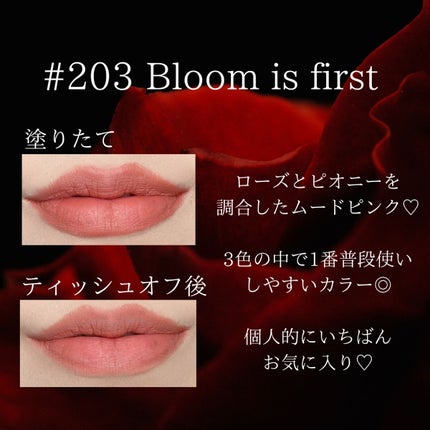 チュールベルベットマットリップ/Roanqu/口紅を使ったクチコミ(3枚目)