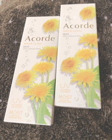 Acorde（アコルデ）/Acorde/カラーコンタクトレンズを使ったクチコミ（1枚目）