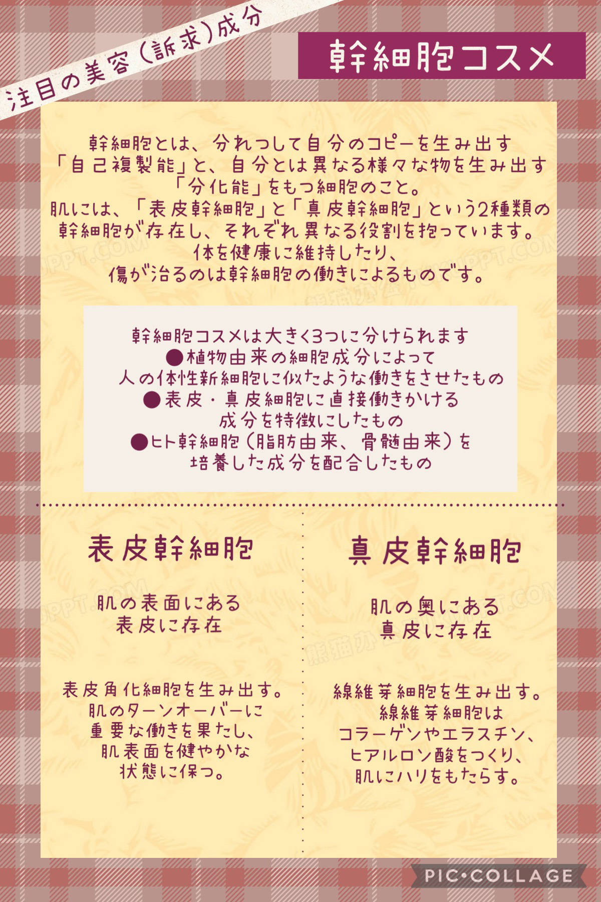 Beauty Function/ReBion/美容液を使ったクチコミ（3枚目）