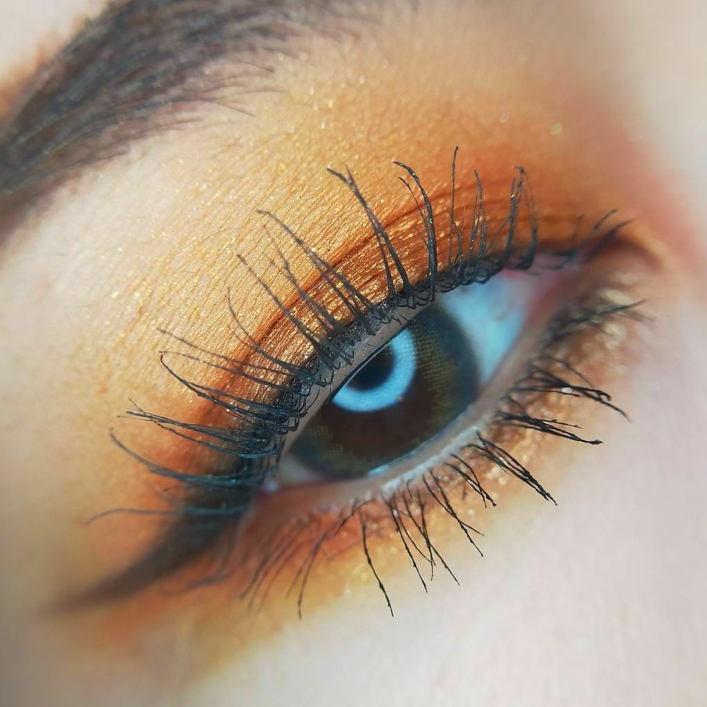 エクスプローラ12色 動物アイシャドウパレット/PERFECT DIARY/アイシャドウパレットを使ったクチコミ（2枚目）