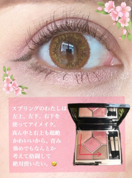 【旧】サンク クルール クチュール/Dior/アイシャドウパレットを使ったクチコミ(6枚目)