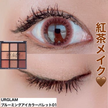 UR GLAM　BLOOMING EYE COLOR PALETTE 01/U R GLAM/パウダーアイシャドウを使ったクチコミ（1枚目）