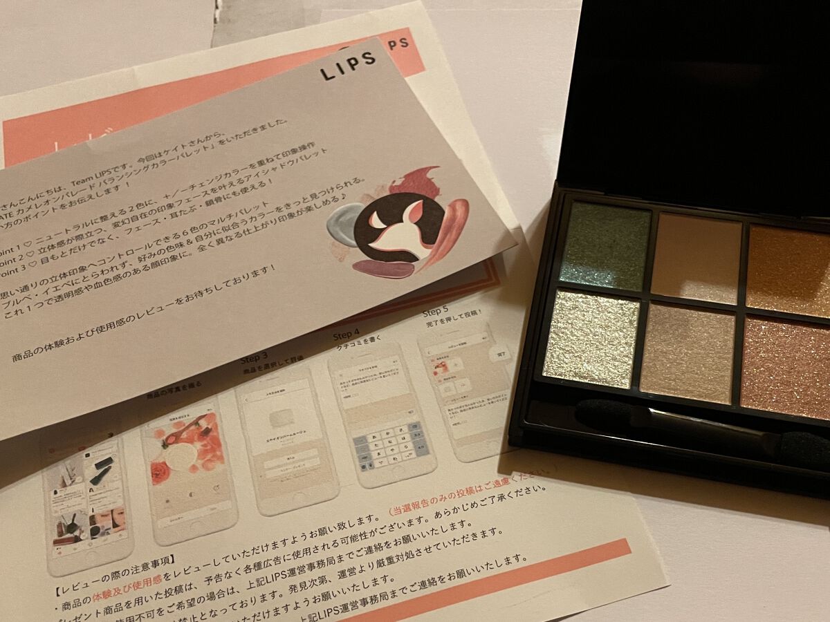 バランシングカラーパレット EX-1/KATE/アイシャドウパレットを使ったクチコミ（2枚目）