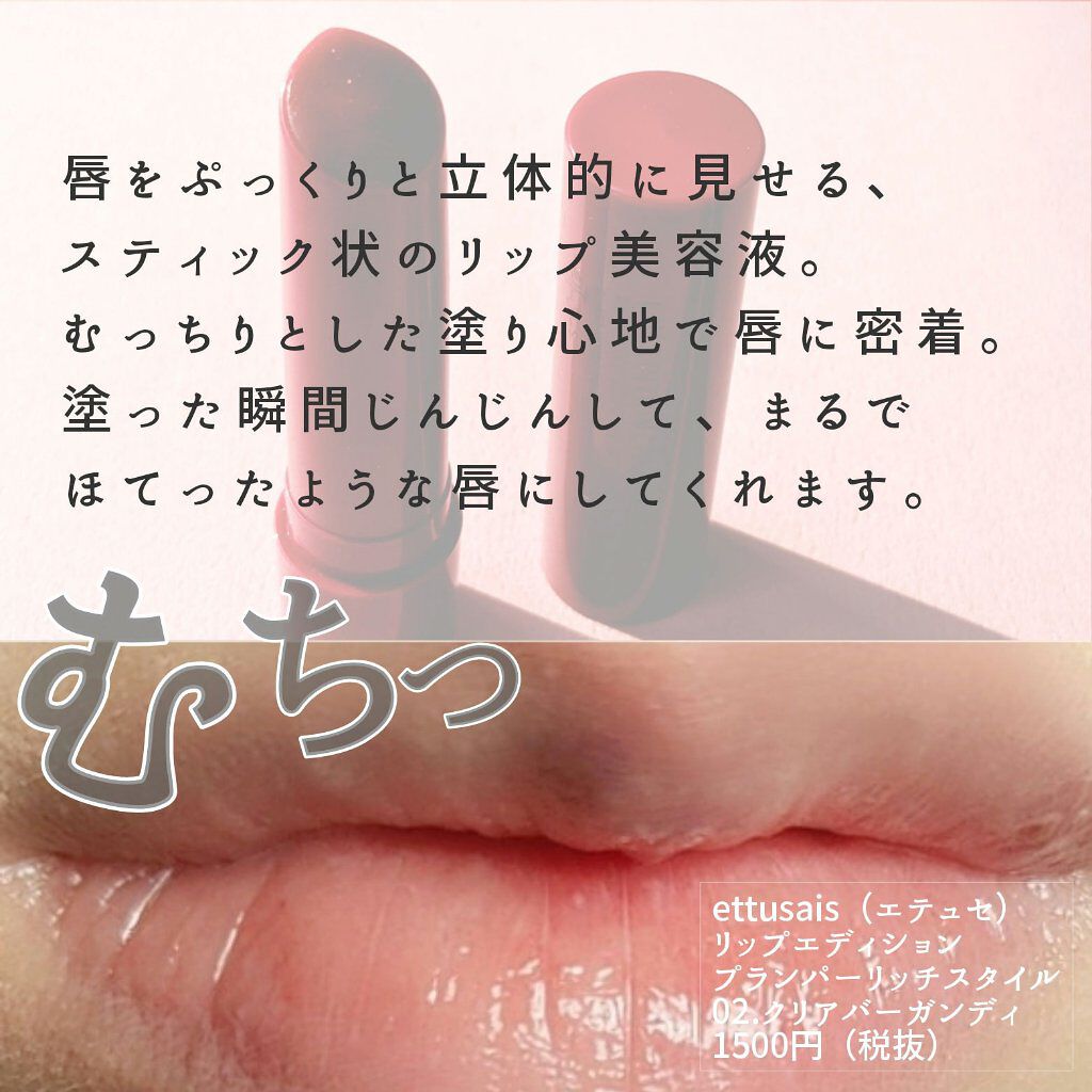 エテュセ リップエディション（プランパー）リッチスタイル/ヘルシースタイル/ettusais/リップケアを使ったクチコミ（2枚目）
